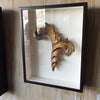 Framed Antique Acanthus Leaf Fragment - Mercato Antiques - 4