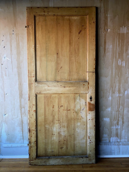19th Century Italian Antique Cabinet Door