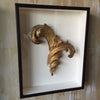 Framed Antique Acanthus Leaf Fragment - Mercato Antiques - 2