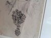 Antique Pencil Drawing Of Grapes - Mercato Antiques - 4
