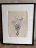 Antique Pencil Drawing Of Grapes - Mercato Antiques - 1