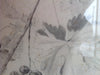 Antique Pencil Drawing Of Grapes - Mercato Antiques - 5